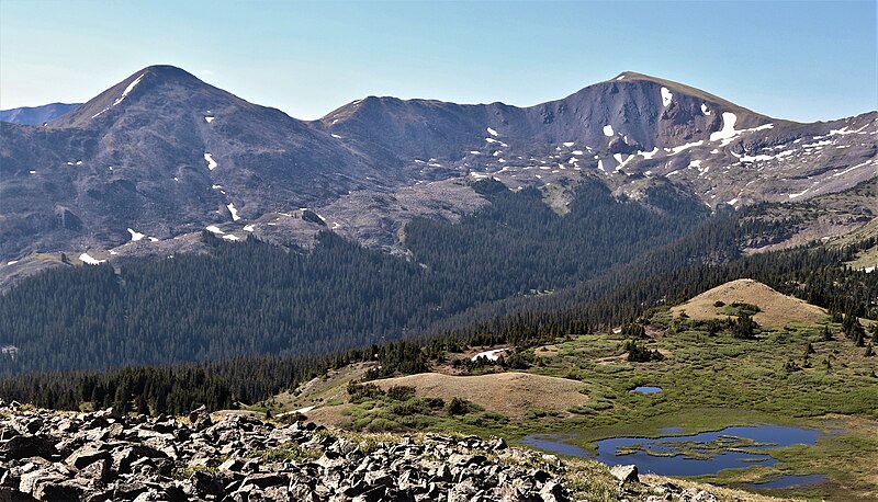 File:Alpine meadows south of Cottonwood Pass CO.jpg