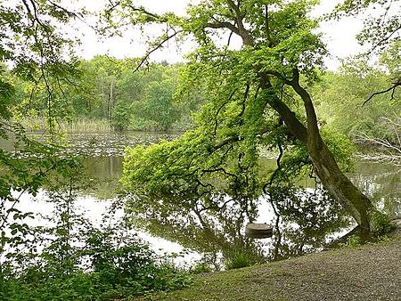 Alter Teich Wolfsburg