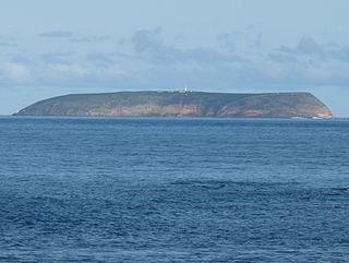 <span class="mw-page-title-main">Althorpe Islands Conservation Park</span> Protected area in South Australia