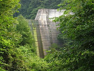 Amekawa Dam is a check dam on Ame river in Saku, Nagano Prefecture, Japan. The primary purpose is reducing water flow velocity to counteract erosion. It is also used for water supply.