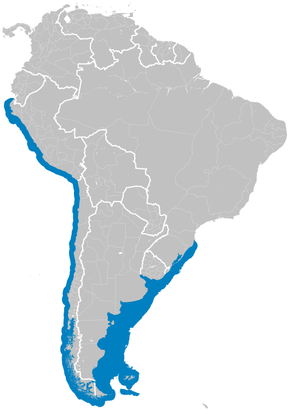 Descrição da imagem do map.png da distribuição do peixe-elefante americano Callorhinchus callorynchus.