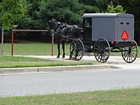 Horse and buggy parking lot for the Amish at County First Bank, Mechanicsville, July 2015. Amish parking lot Mechanicsville Maryland.jpg