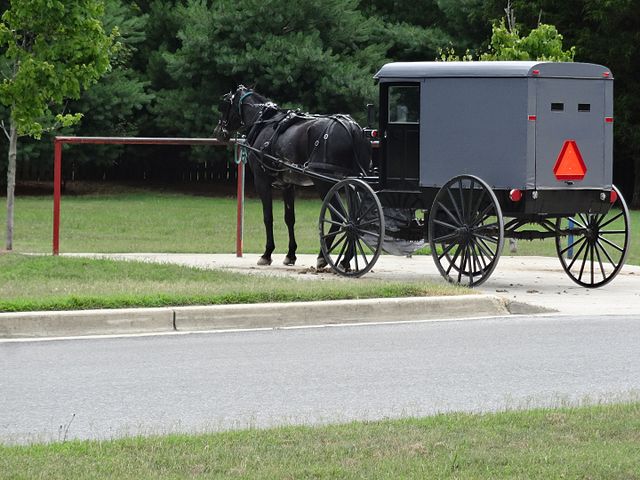 Amish horse and buggy in Mechanicsville