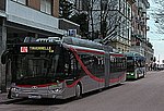 Vignette pour Trolleybus d'Ancône