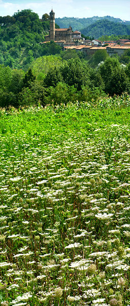 File:Aramengo in primavera 2.jpg