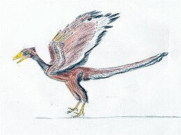 Az Archaeopteryx rekonstrukciója.