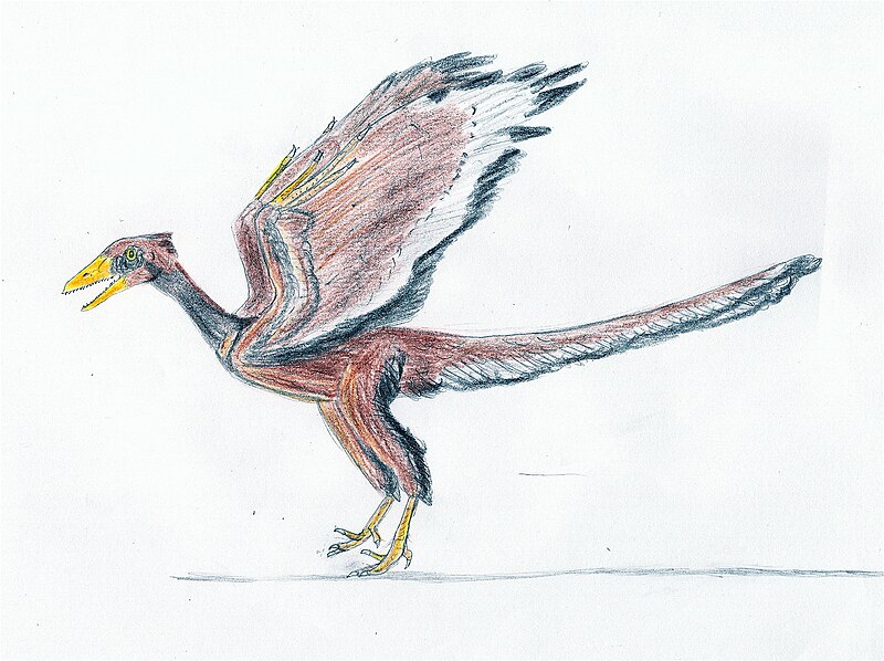 File:Archaeopteryx EF.jpg