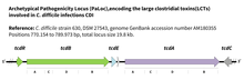 PaLoc Reference: Clostridioides difficile strain 630, DSM 27543, genome GenBank accession number AM180355 Positions 770.154 to 789.973 bp, total locus size 19.8 kb. Archetypical Pathogenicity Locus (PaLoc),encoding the large clostridial toxins(LCTs) involved in C. difficile infections CDI.png