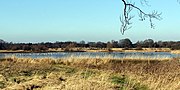 Thumbnail for Arcot Hall Grasslands and Ponds