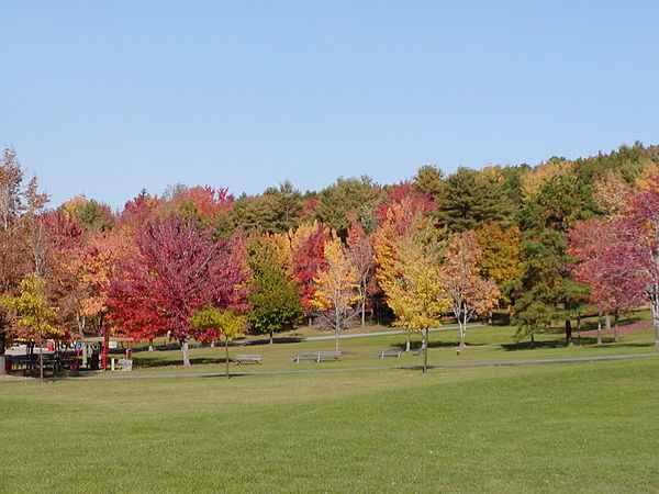 Arnold Park in the Fall