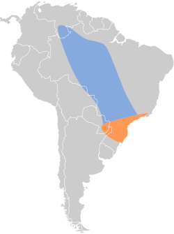 Distribución geográfica del atila cabecigrís.