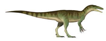 Australovenator UDL.png