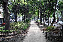 Park median in Avenida Amsterdam, the "grand avenue" of the Mexico City subdivision Colonia Hipodromo de la Condesa, designed in 1926 and inspired in part by Ebenezer Howard's Garden City Avenida Amsterdam - Colonia Condesa 2.JPG