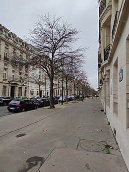 Az Avenue Frédéric-Le-Play cikk illusztráló képe