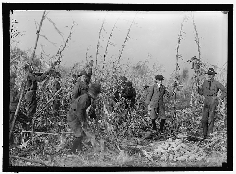 File:BOY SCOUTS. BOY SCOUT FARM LCCN2016868620.jpg