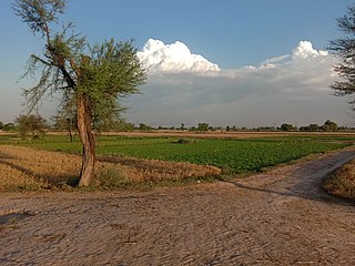 <span class="mw-page-title-main">Badoki Saikhwan</span> Pakistani village