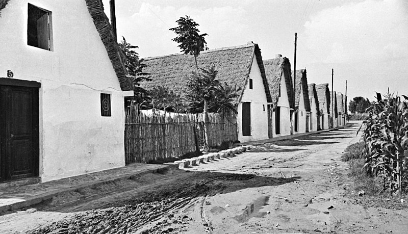 File:Barraques de Beniparrell abans de la Gran Riuada de València (País Valencià, 1957).jpg