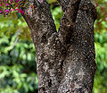 in Hyderabad, India.