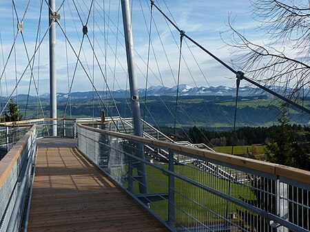 Baumwipfelpfad mit Alpenblick