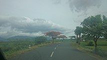 Beautiful Tirunelveli under rain cloud shadow on 19-09-2015