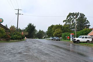 <span class="mw-page-title-main">Beech Forest, Victoria</span> Town in Victoria, Australia