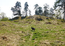 The ruins of Almarestaket bishop's castle abandoned in the 15th century, photographed in 2013. Biskopsborgen Almare-Staket ruin 2013.jpg