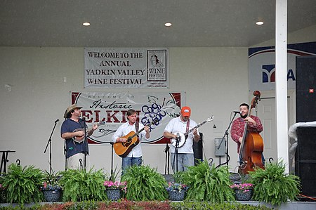 Bluegrass music at the festival Bluegrass band - 2013 Yadkin Valley Wine Festival.jpg