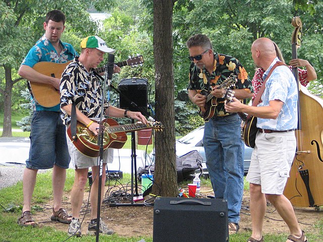 Bluegrass pickin'.