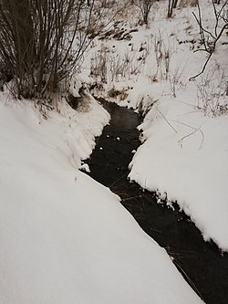 Bochovský potok v zimě