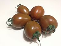 Brown tomato Zyrano.JPG