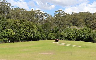 <span class="mw-page-title-main">Browns Field (New South Wales)</span> Place in New South Wales, Australia