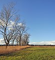 * Nomination Landscape north of Bruges (Belgium) -- MJJR 22:03, 5 March 2012 (UTC) * Promotion Nice, even if the crop of the tree at left could be discussed maybe. QI anyway.--Jebulon 22:21, 5 March 2012 (UTC)