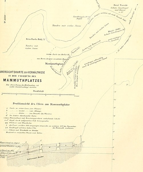 File:Bulletin de l'Acadmie impriale des sciences de St.-Ptersbourg (20431141325).jpg