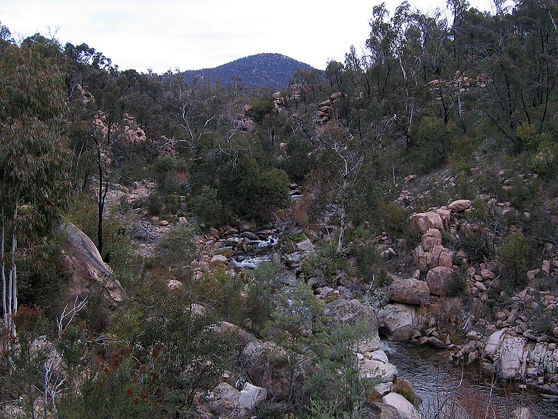 File:Bundara River upstream near Anglers Rest, Vic, jjron, 6.06.2009.jpg