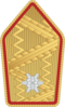 Bundesheer - Rank insignia - Brigadier.png