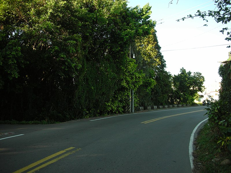 File:COUNTRY ROAD - panoramio.jpg