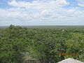 Calakmul, view from structure I.jpg
