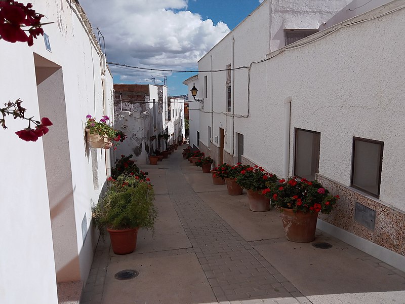 File:Calle de Lucainena de las Torres 11.jpg