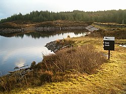 Cam Loch бөгеті - geograph.org.uk - 650104.jpg