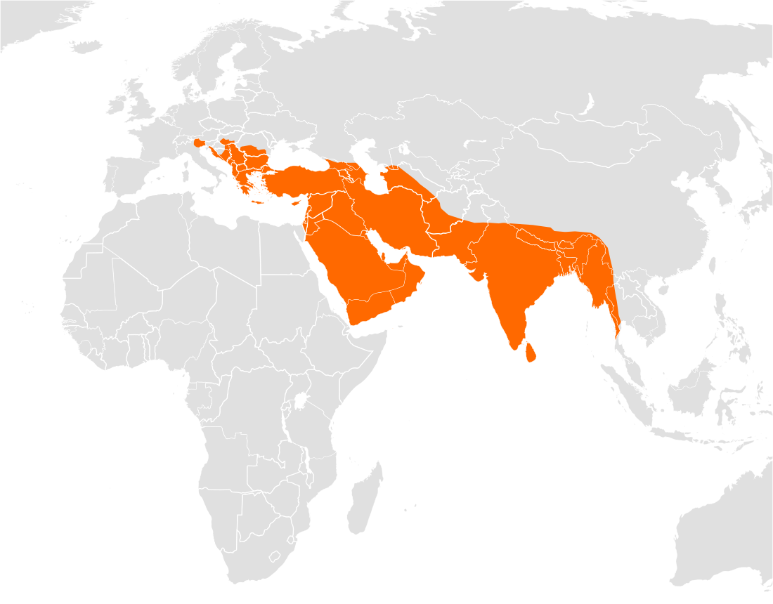 File:Canis aureus range.svg