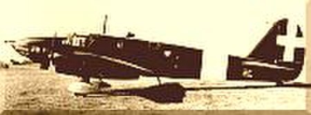 Caproni_Ca.309