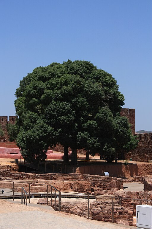 Castelo silves III