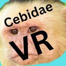 Cebidae VR Logo