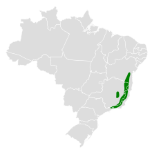 Cercomacra brasiliana map.svg