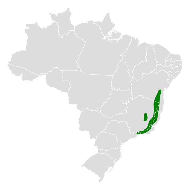 File:Cercomacra brasiliana map.svg