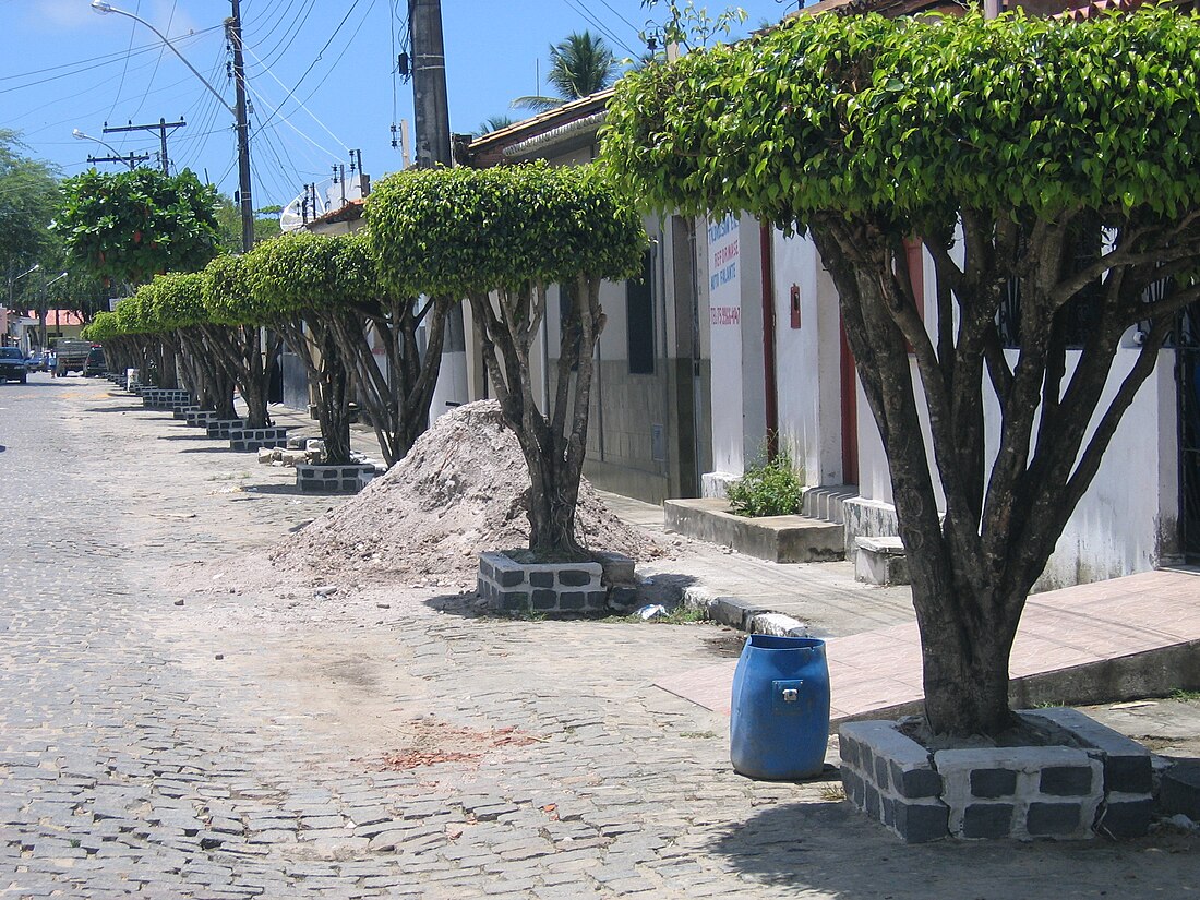 Conde (Bahia)