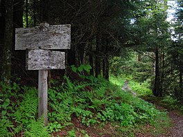 Confluence of Bullhead and Rainbow Falls Trails.JPG