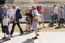 Festival-goers attending the 2014 Cambridge Folk Festival