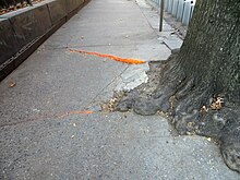 A cracked sidewalk on 11th Street in Manhattan Cracked sidewalk in Manhattan.jpg