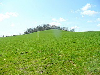 Creech Hill